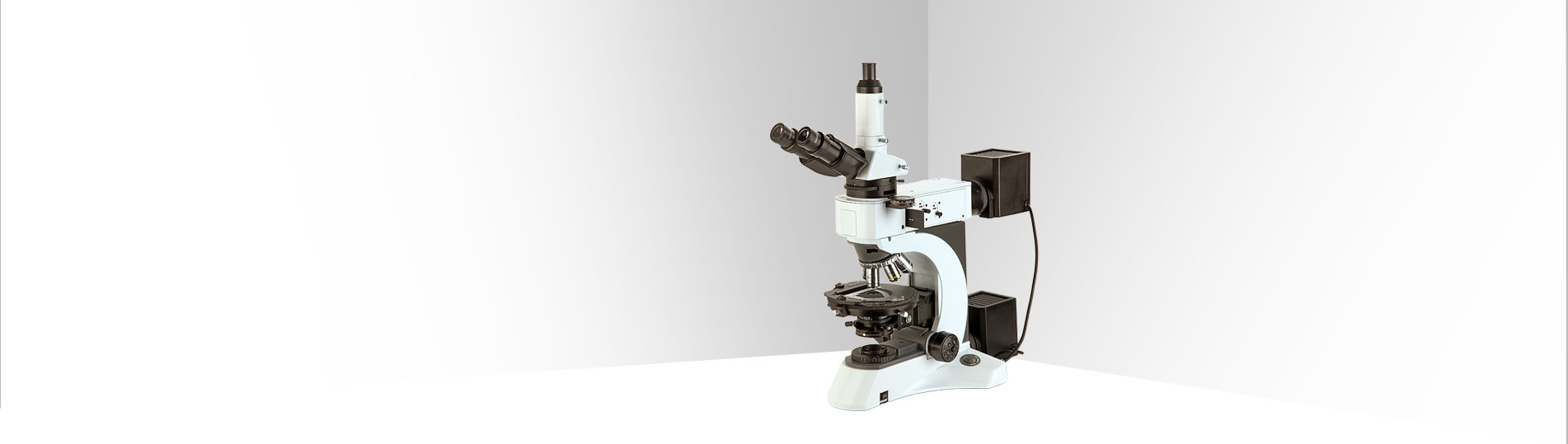 Polarizasyon Mikroskopları